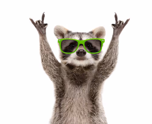 0x8532970ca555c6b6aad882cae0ef897953a82b85