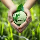 Green Earth