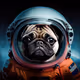 Dog in Space