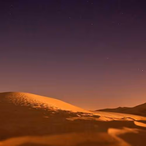 Berkeley Dynamic Immediately