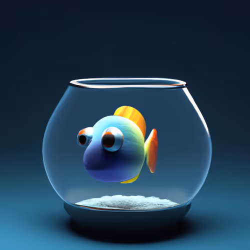 Lil fish