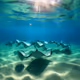 under_the_sea