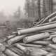 Log