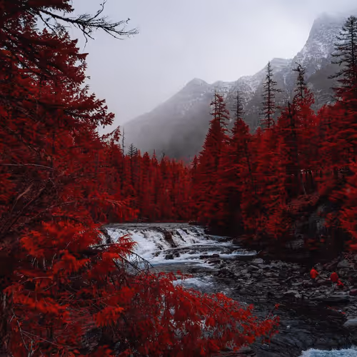 This colour