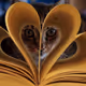 cat heart