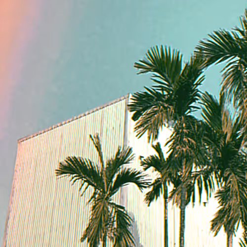 Tropical Love