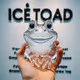 Enjoy Icetoad
