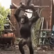 APES