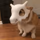 Corgi