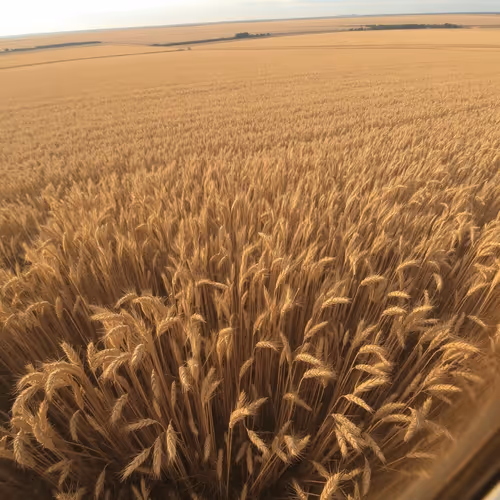 0xc7a86a87d7df92f312a79532fe1968e024ae1953