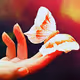 Butterfly in hand