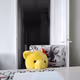 dtdba