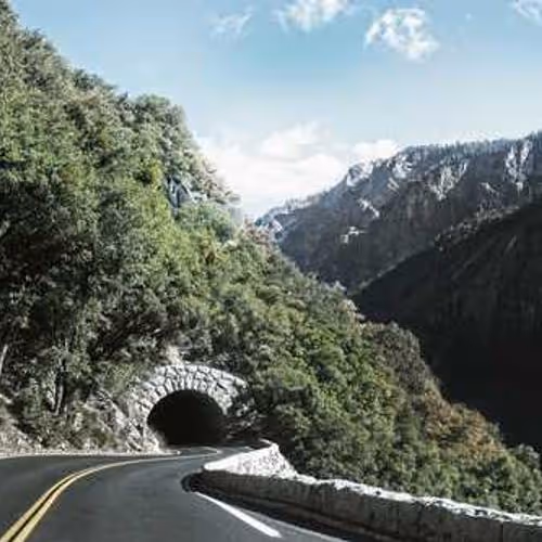 OWED TUITION HOSPITAL NABBING GUEST