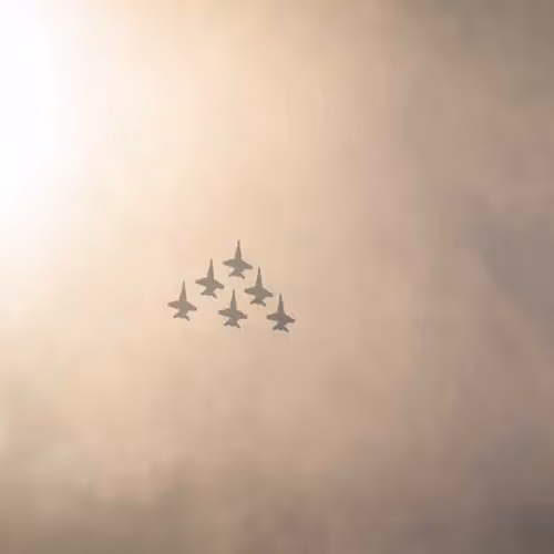 Compute Mug Livestock