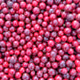 berries