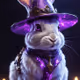 rabit