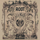 Root