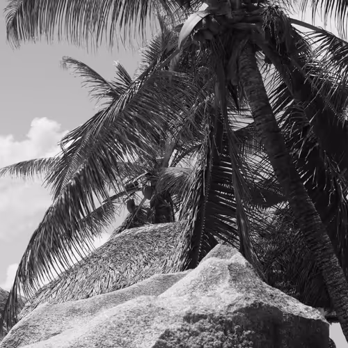 bw