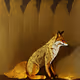 Golden Zora Fox