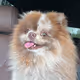 Zora Posts