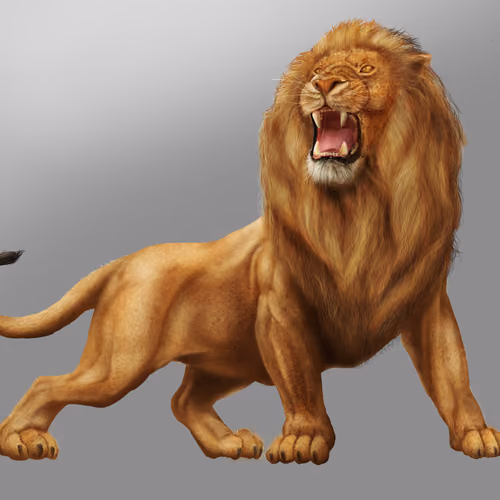 Alpha Male Lion