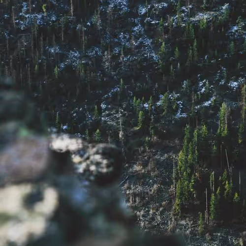Wall