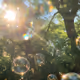 bubbles