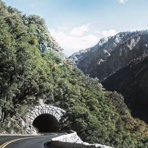 Disturbed Tablet Bishop