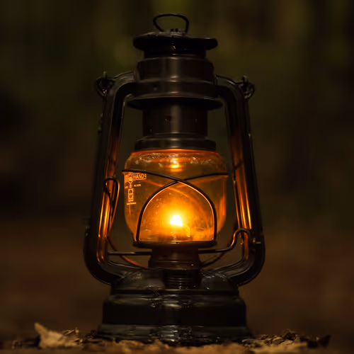 Bornoz Network NFT Collection