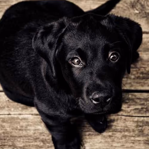 Rounds Intersection Casino