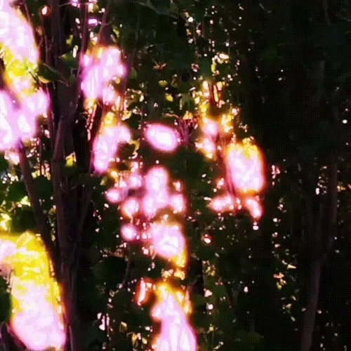 Synthetic Nature