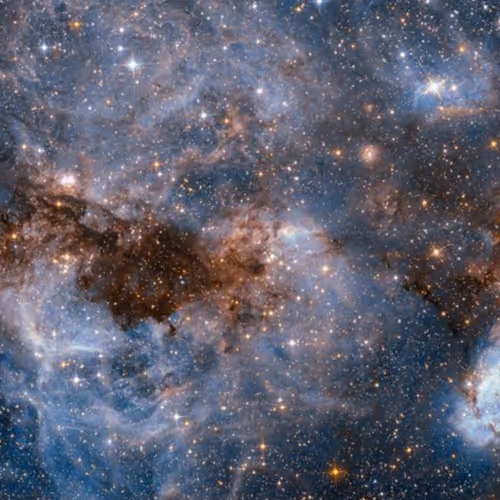 The Large Magellanic Cloud