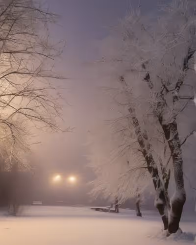 winter and summer nature12