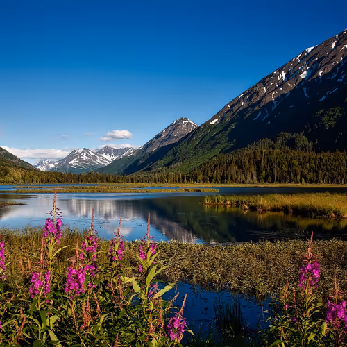 alaska
