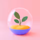 Zorb