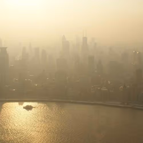 The Music Lesson Les Nymphéas (Water Lilies)