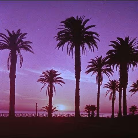 **ExoArt Expeditions **