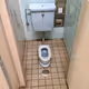 Flushed Reverie