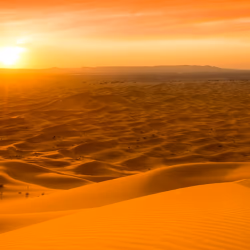 Dune