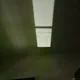 Psilocybe Cubengifs