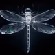 The Glass Insects