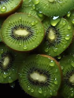 kiwi