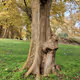 Hyrcani Nature