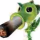 Pea Drip