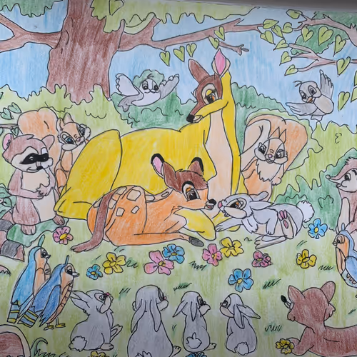 Cartoons - New Era of Drawings