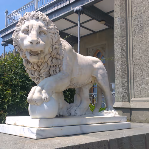 lion