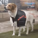 Coat Laser
