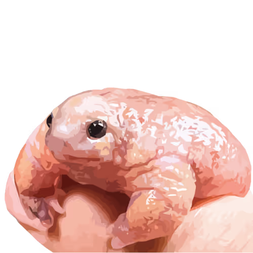 Christin's Stand-up Comedy