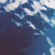 Debian