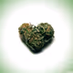 marihuana420